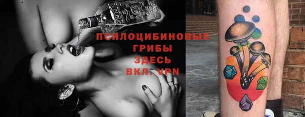 амф Абинск