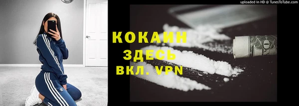 гидра Алексеевка
