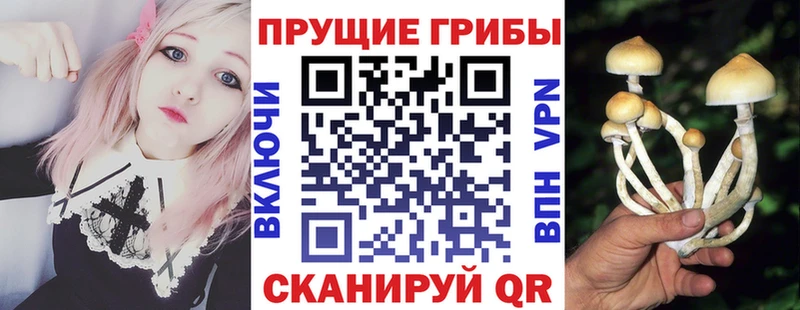 Галлюциногенные грибы Cubensis как найти наркотики Полтавская